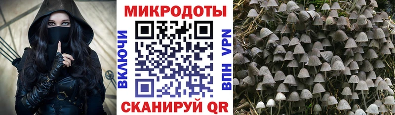 Псилоцибиновые грибы Psilocybine cubensis  kraken вход  Димитровград 