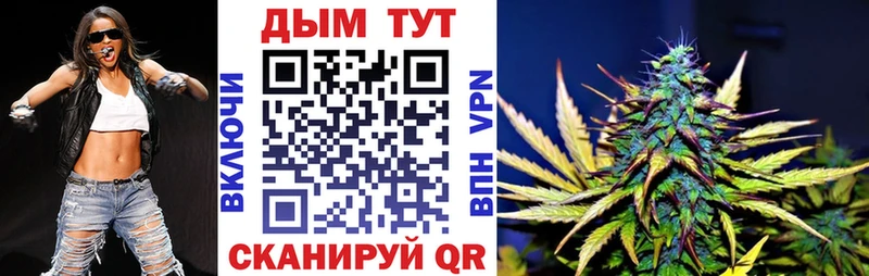 ОМГ ОМГ как войти  Димитровград  Каннабис план 